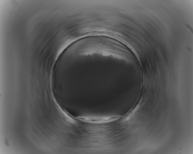 X0000097491533200803071728