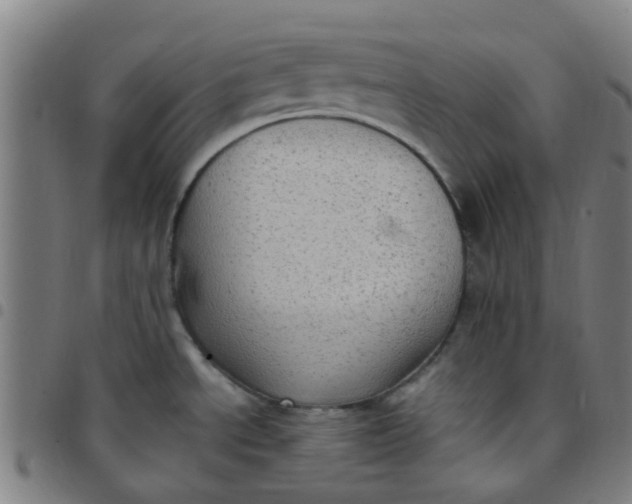 X0000097491534200803071728