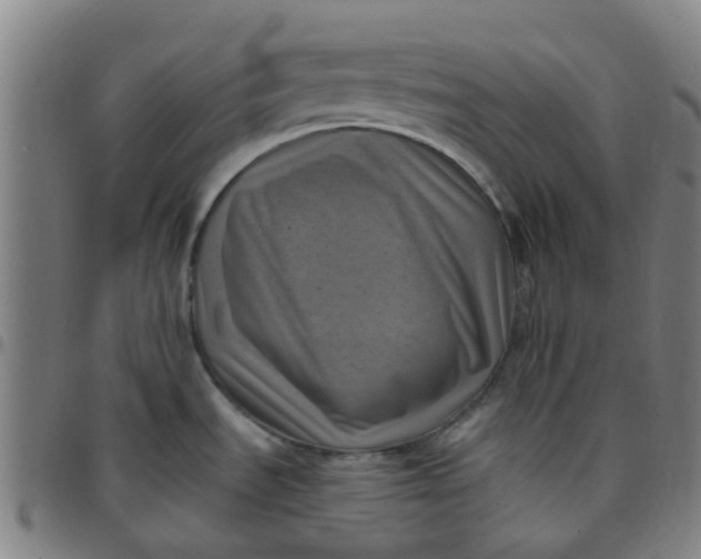 X0000097491535200803071728