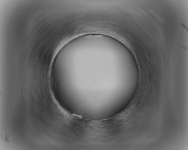 X0000097491536200803071728