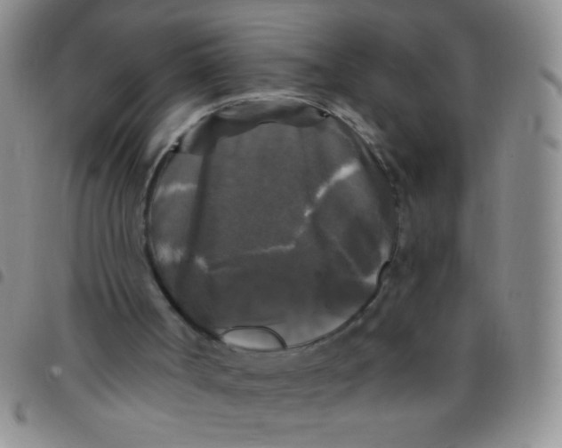 X0000097490002200803142007