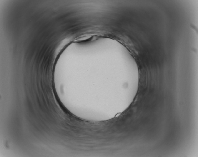 X0000097490003200803142007