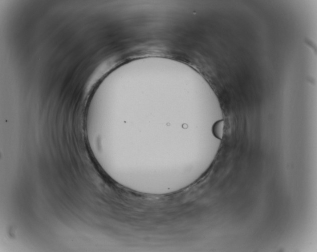 X0000097490004200803142007