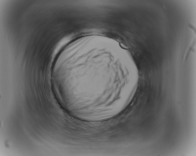 X0000097490006200803142007