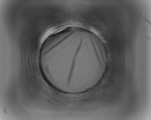 X0000097490007200803142007