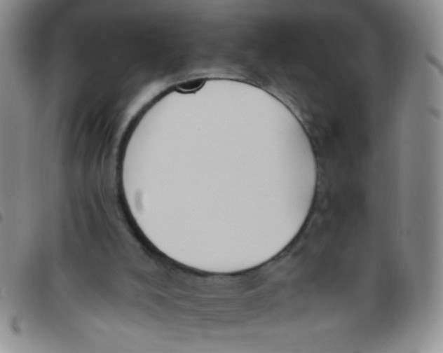 X0000097490008200803142007