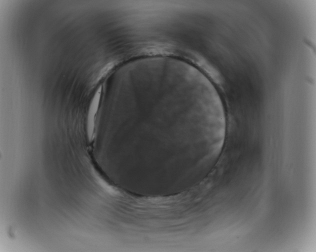 X0000097490009200803142007