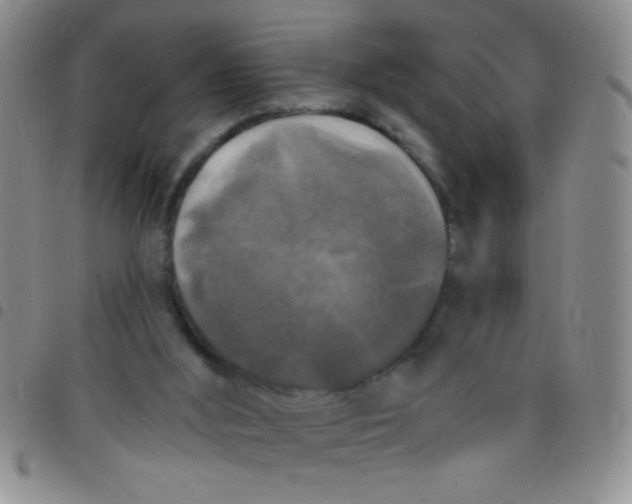 X0000097490012200803142007