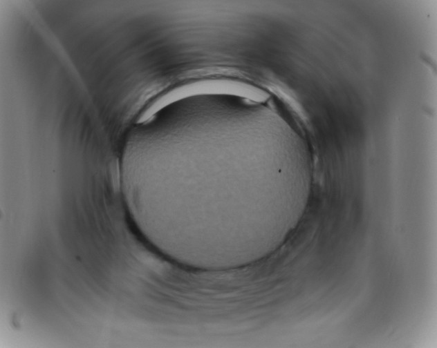 X0000097490013200803142007