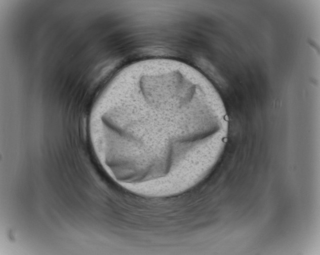 X0000097490014200803142007