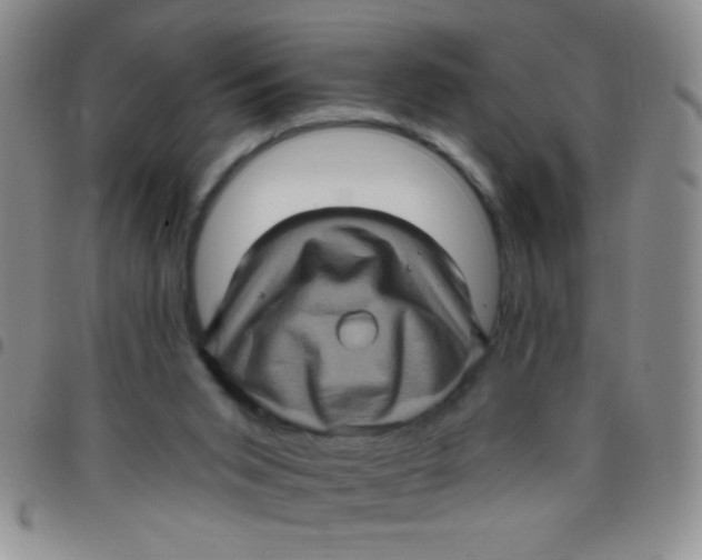 X0000097490015200803142007