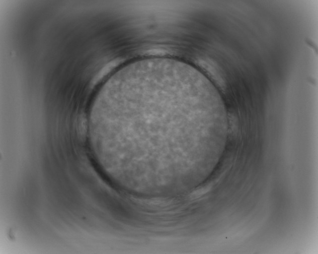 X0000097490016200803142007