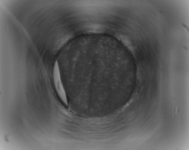 X0000097490017200803142007