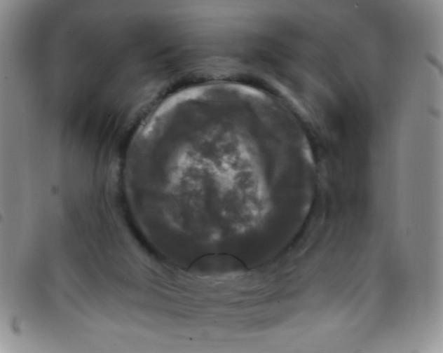 X0000097490018200803142007