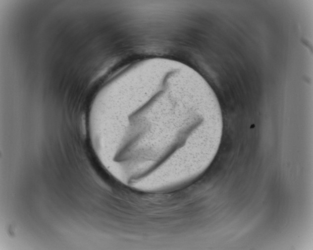 X0000097490020200803142007