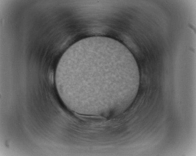 X0000097490021200803142007