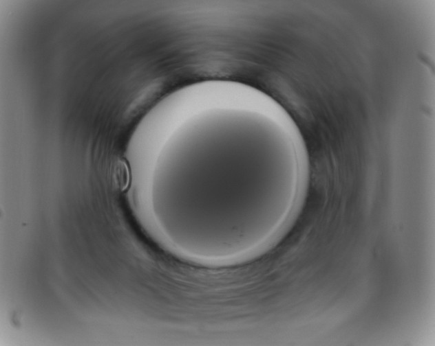 X0000097490023200803142007