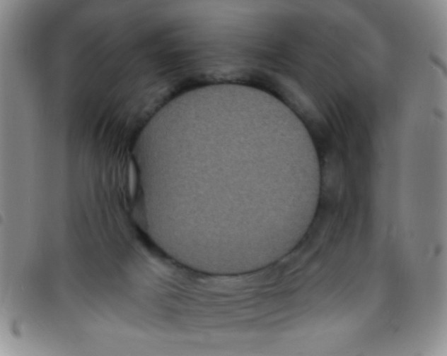 X0000097490025200803142007