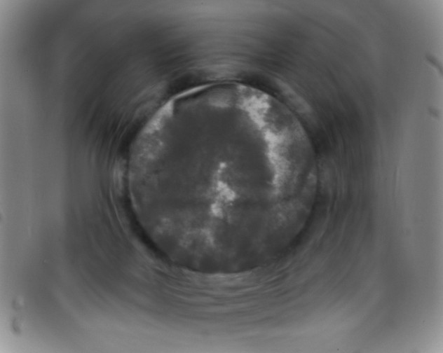 X0000097490026200803142007