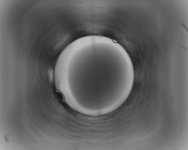 X0000097490027200803142007