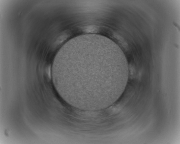 X0000097490028200803142007