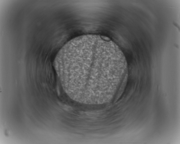 X0000097490033200803142007