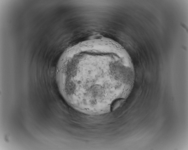 X0000097490034200803142007