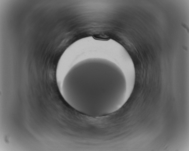 X0000097490035200803142007