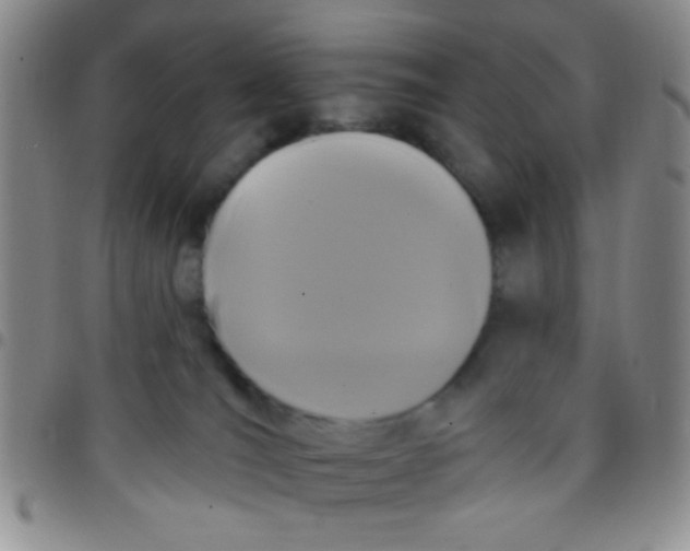 X0000097490036200803142007