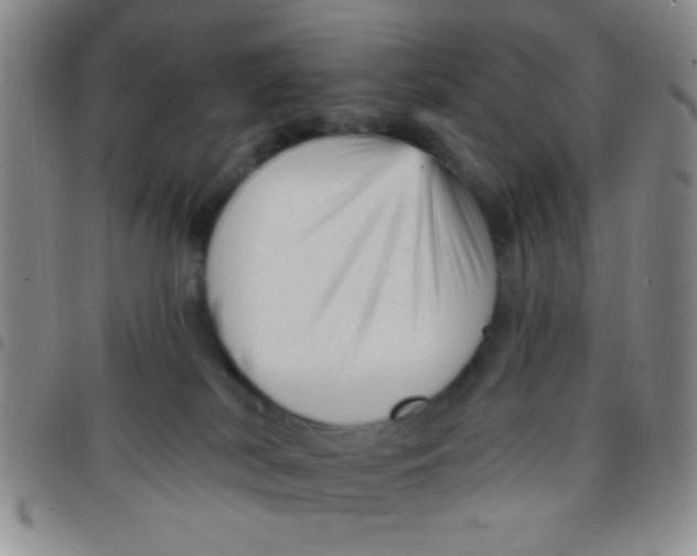 X0000097490038200803142007