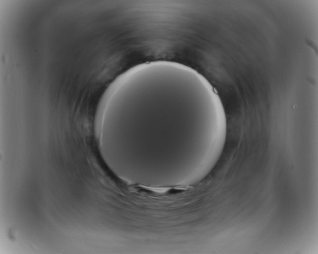 X0000097490039200803142007