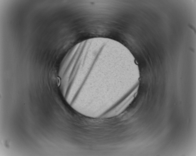 X0000097490040200803142007