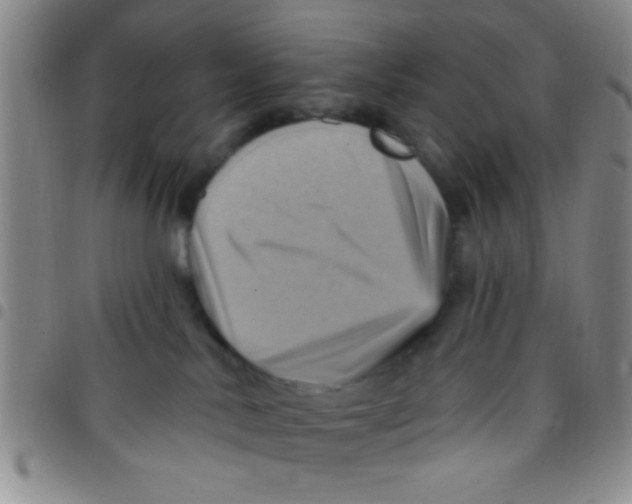 X0000097490042200803142007