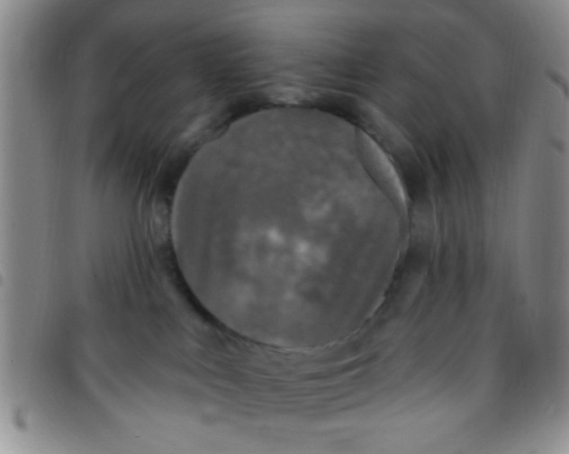 X0000097490043200803142007