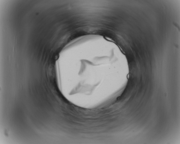 X0000097490044200803142007