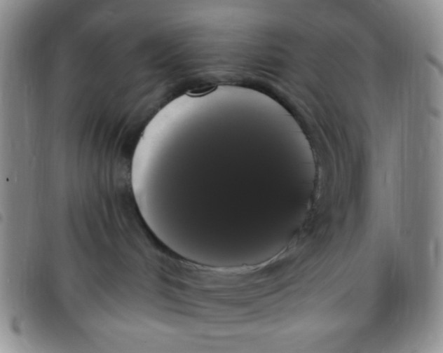 X0000097490048200803142007