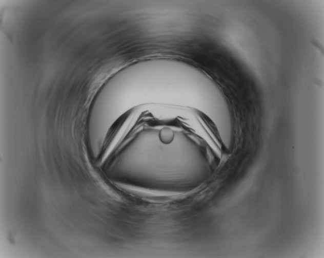 X0000097490049200803142006