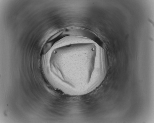 X0000097490050200803142006