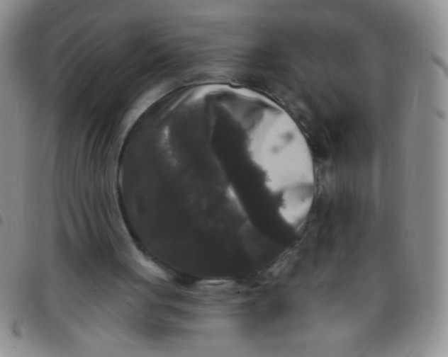 X0000097490051200803142006