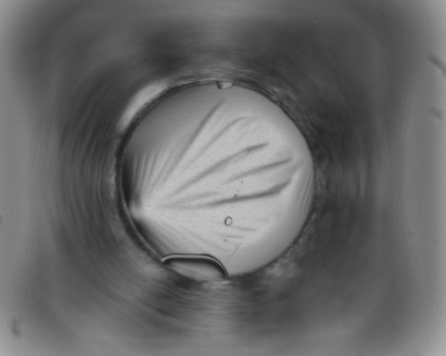 X0000097490054200803142006