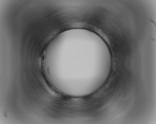 X0000097490057200803142006