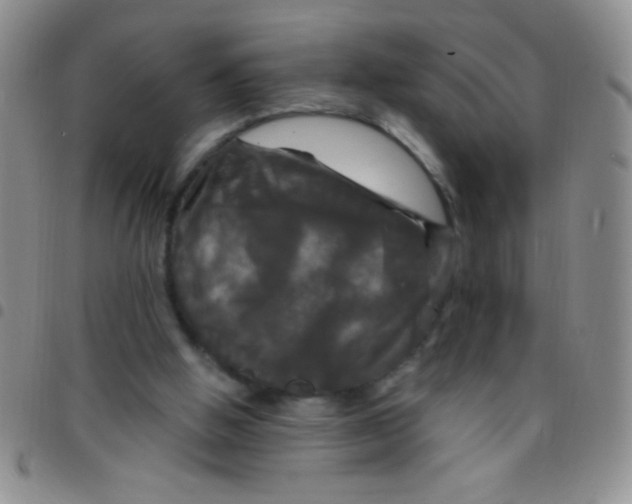 X0000097490058200803142006