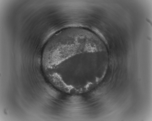 X0000097490063200803142006