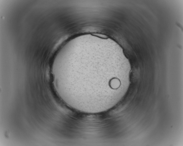 X0000097490064200803142006