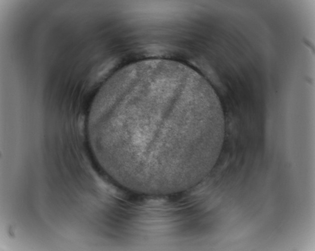 X0000097490066200803142006