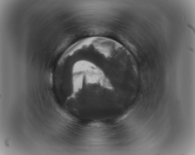 X0000097490067200803142006