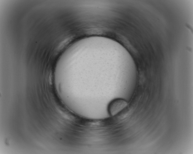 X0000097490068200803142006