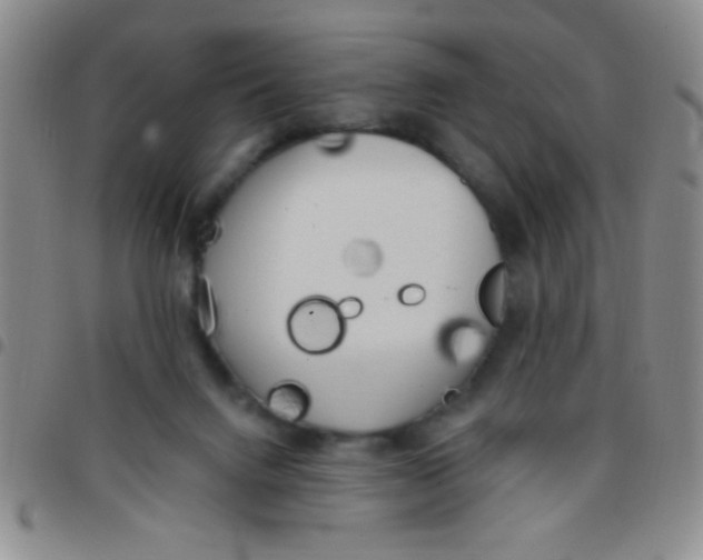 X0000097490072200803142006