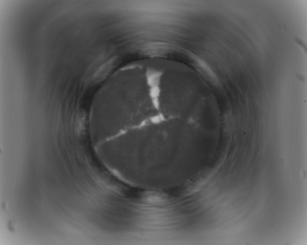 X0000097490073200803142006