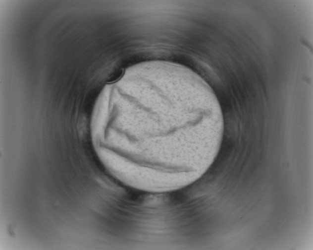 X0000097490077200803142006